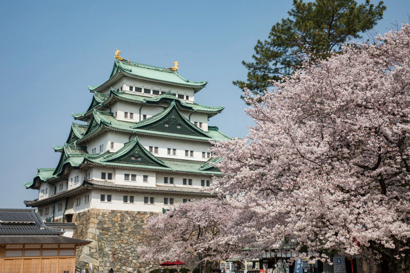 nagoya castle 1